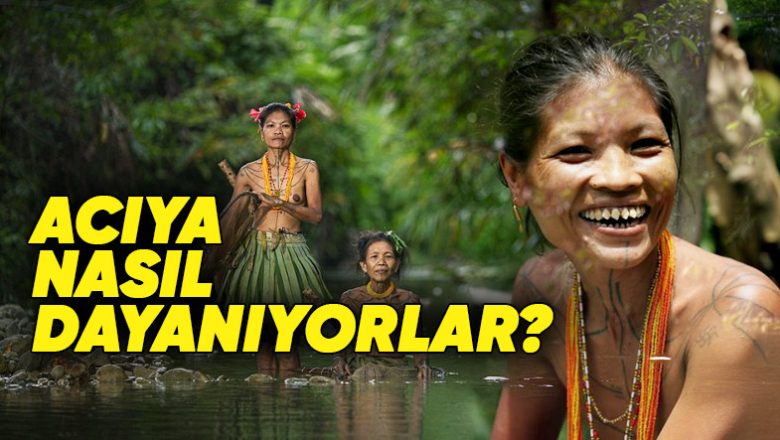  Endonezya’daki Bu Bayanlar Dişlerini Neden Sivrilene Kadar Sertleştiriyor? Hayır, Yiyecekleri Daha Yeterli Kesebilmek İçin Değil!